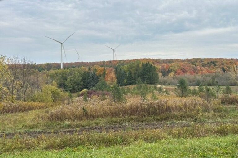 How Do You Measure the Health of a Congregation?