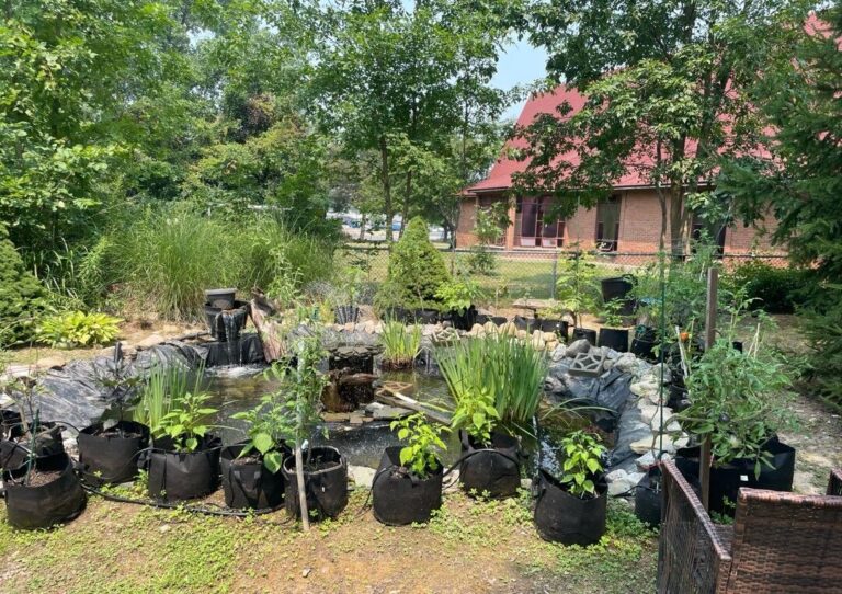 What Do You Do with an Empty Building?