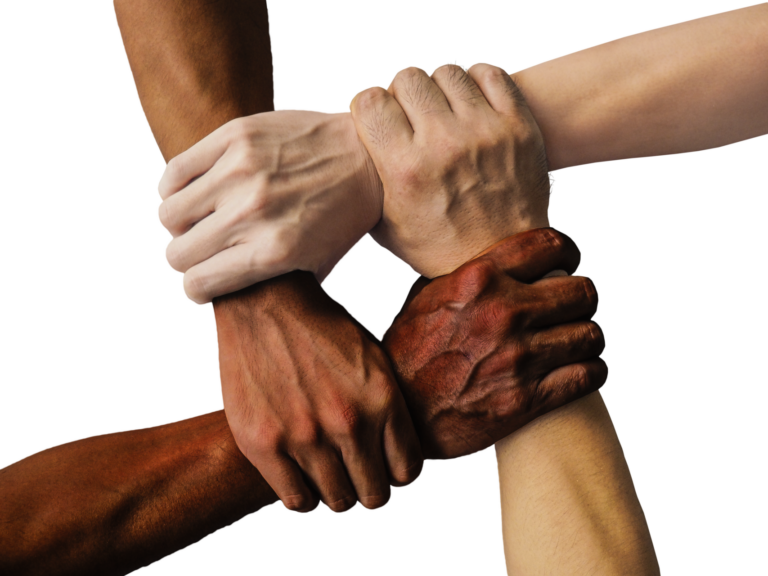 Where We Stand: An Update on Anti Racism & Diversity Training